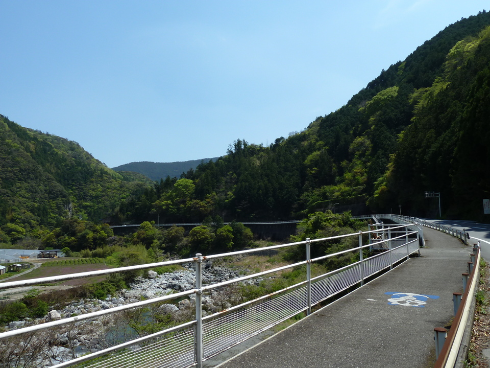 P1010417_mid.jpg