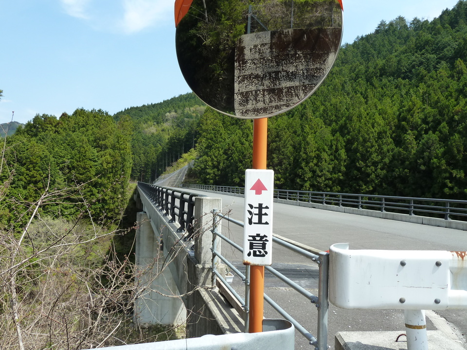 P1010446_mid.jpg