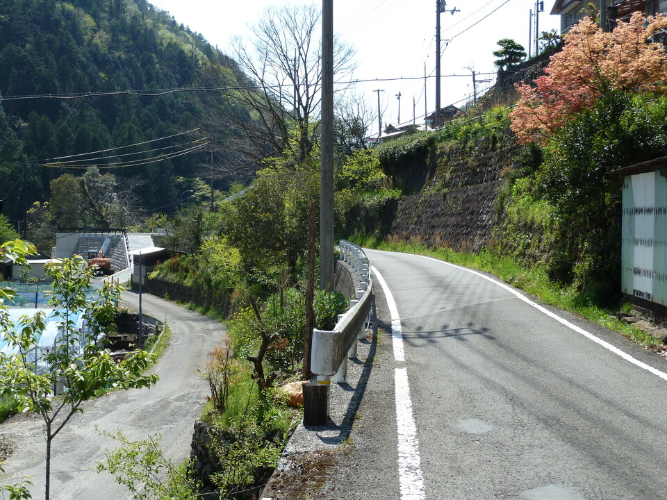 P1010475_mid.jpg