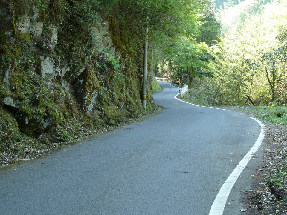 P1010488_mid.jpg