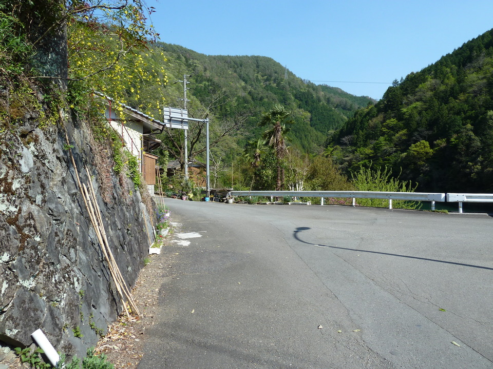 P1010507_mid.jpg
