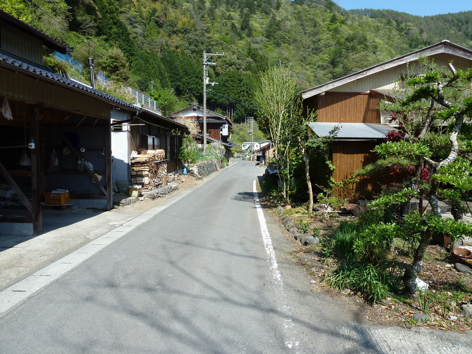 P1010508_mid.jpg