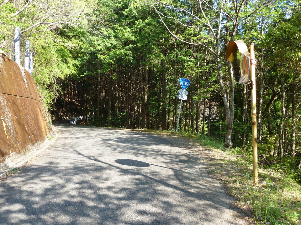 P1010542_mid.jpg