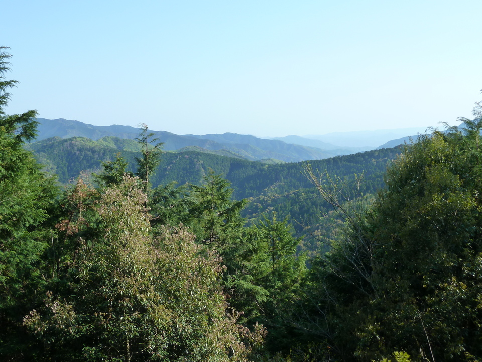 P1010557_mid.jpg