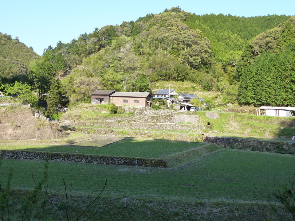 P1010571_mid.jpg