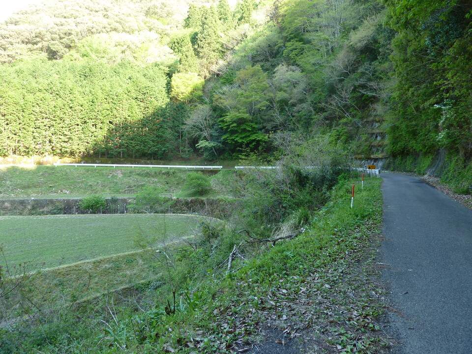 P1010572_mid.jpg