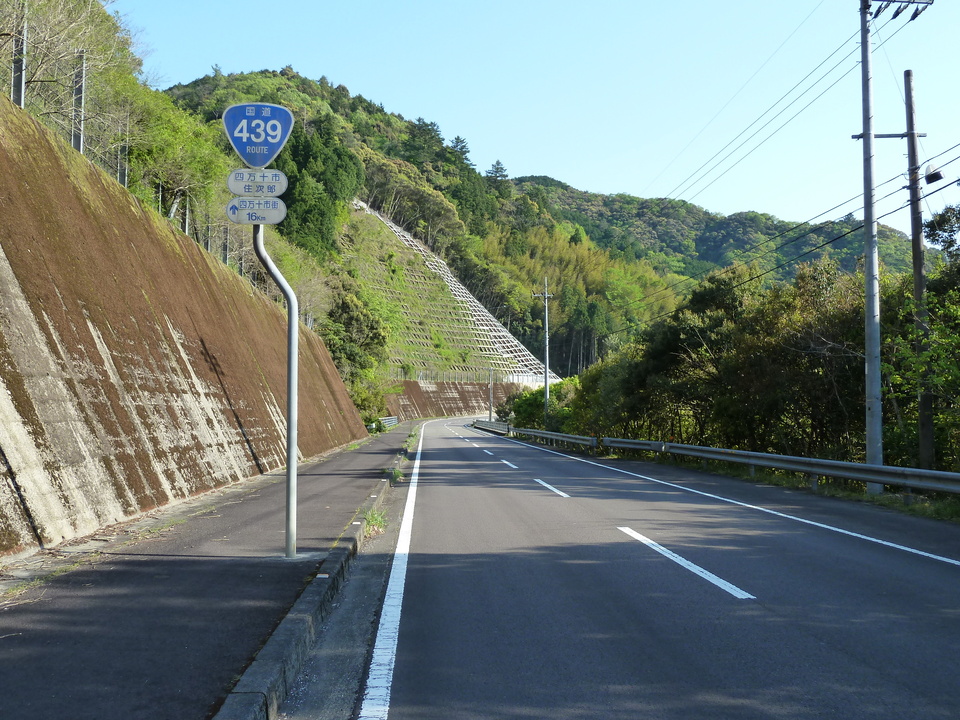 P1010578_mid.jpg