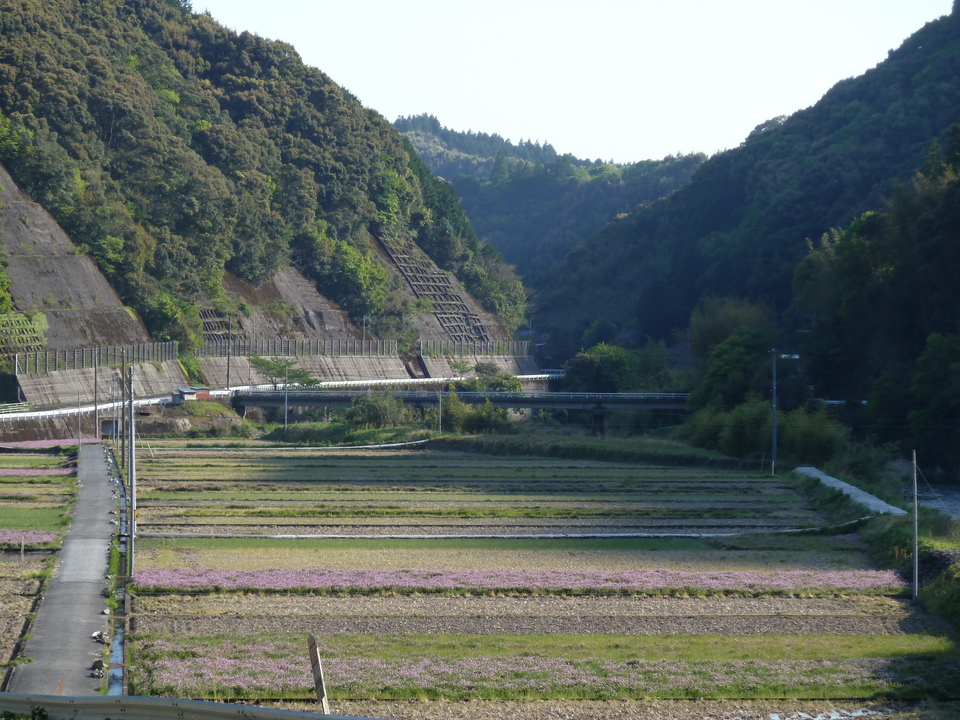 P1010580_mid.jpg
