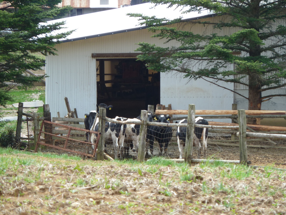 P1010687_mid.jpg