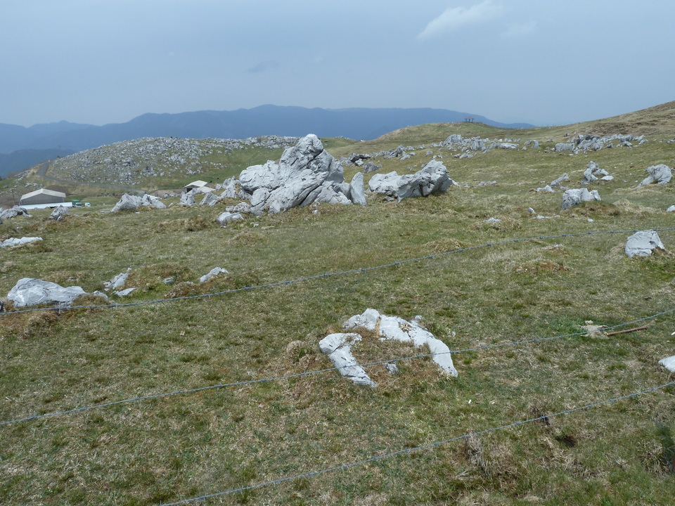P1010736_mid.jpg