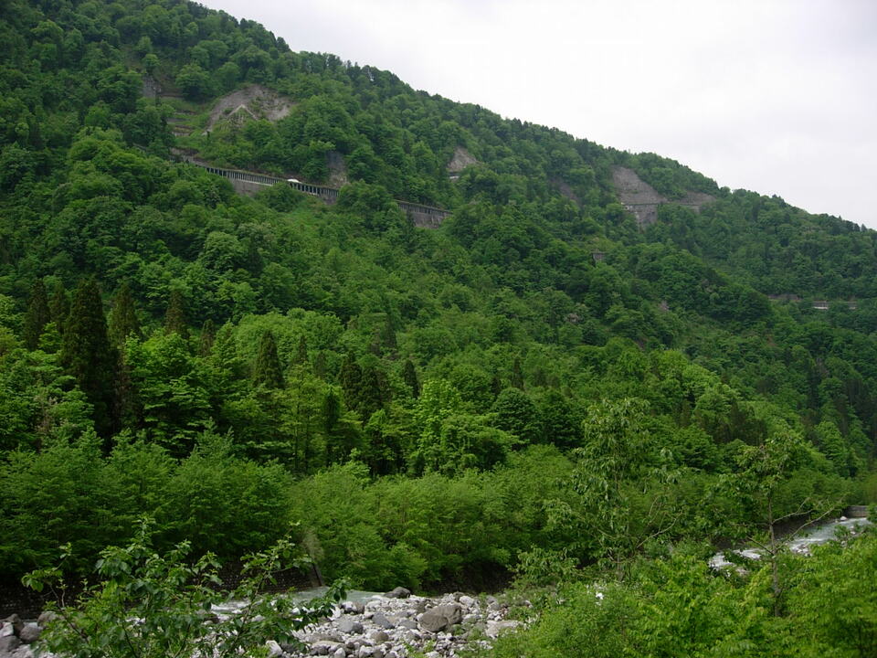 DSCN3443_mid.jpg