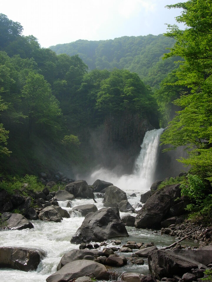 DSCN3493_mid.jpg
