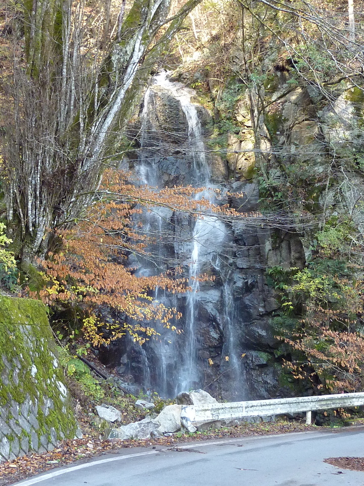 P1010225_mid.jpg