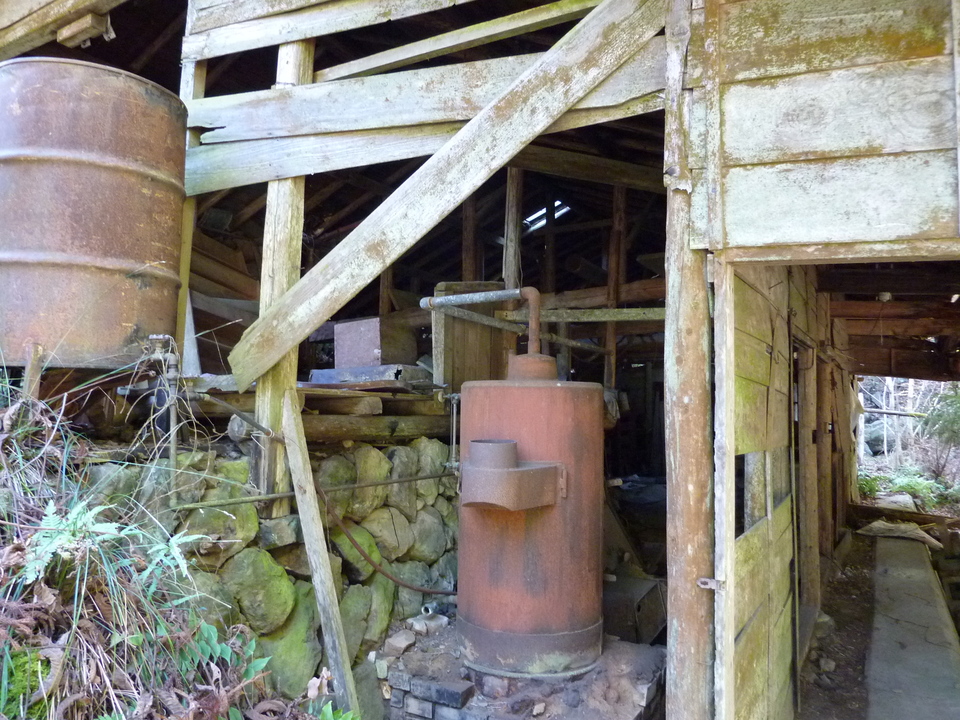 P1010274_mid.jpg