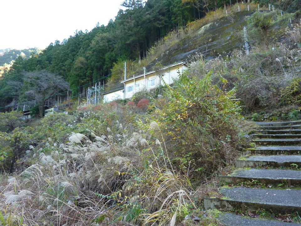 P1010275_mid.jpg