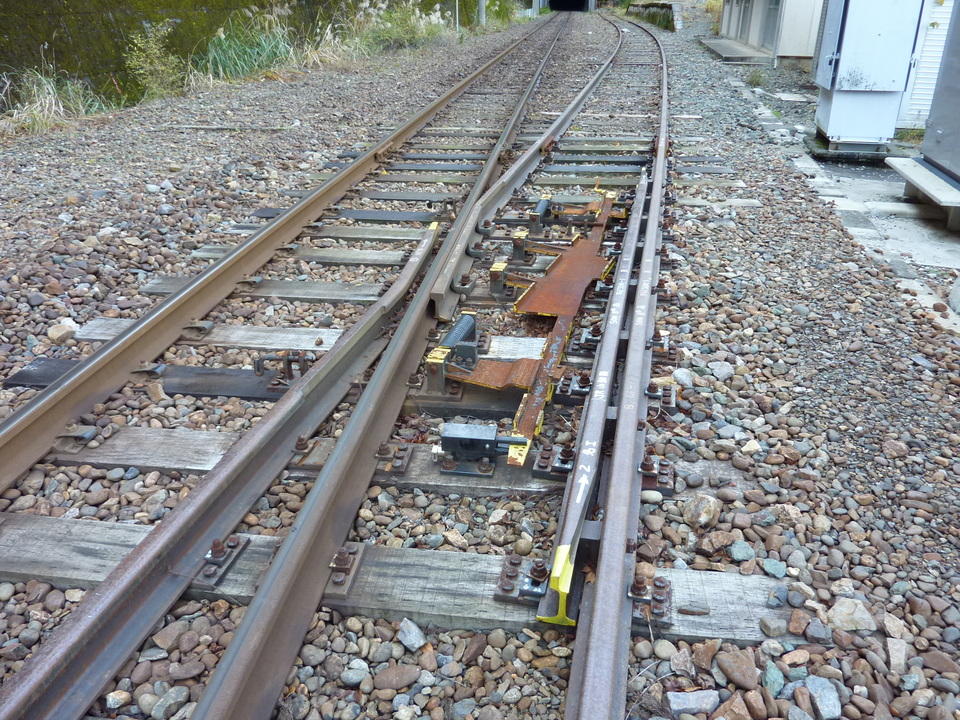 P1010282_mid.jpg