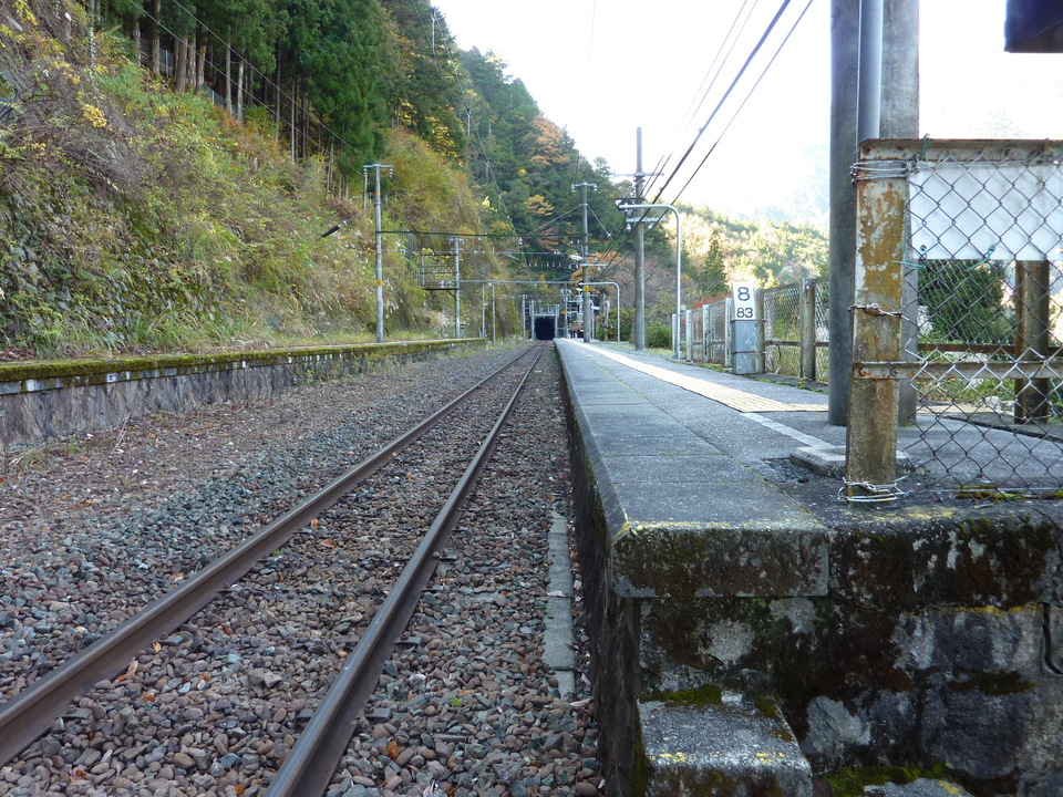 P1010288_mid.jpg