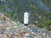 P1010289_thumb.png