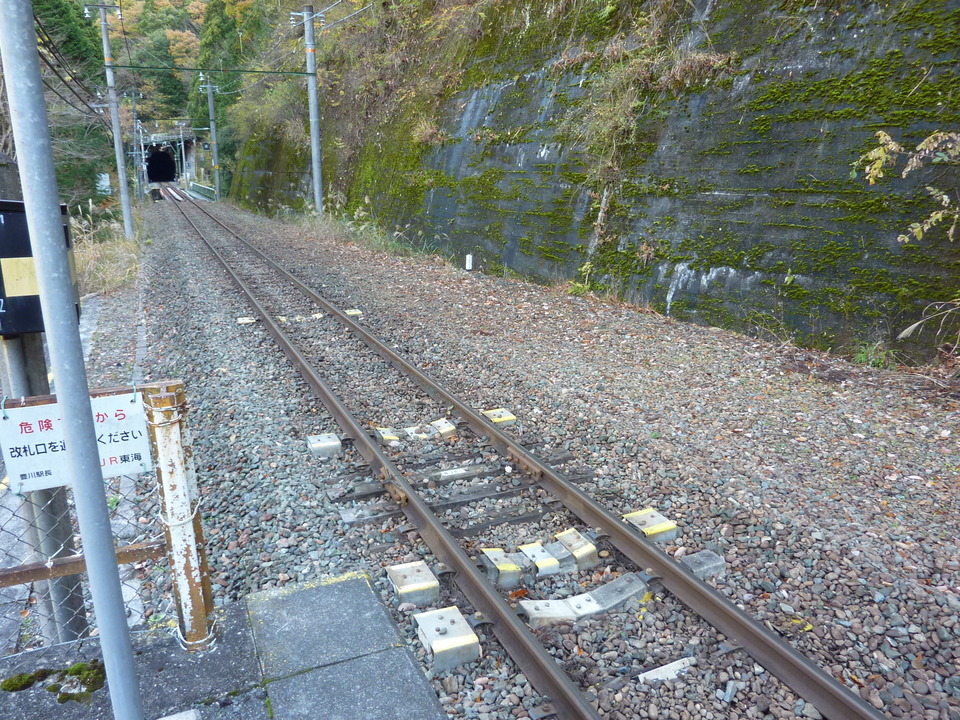 P1010290_mid.jpg