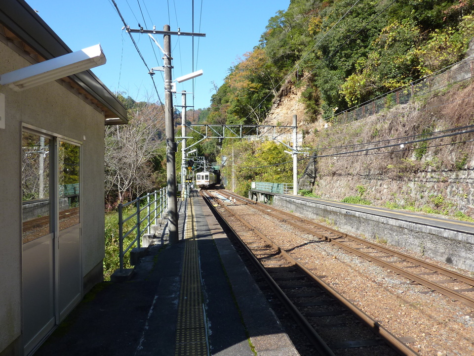 P1010295_mid.jpg