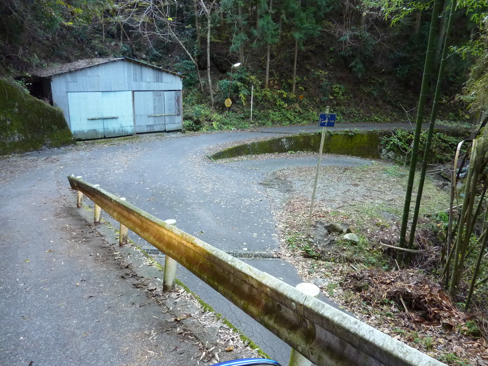 P1010308_mid.jpg