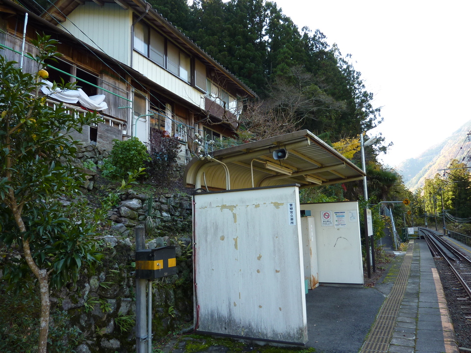 P1010317_mid.jpg