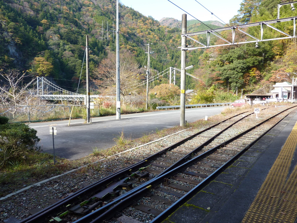 P1010347_mid.jpg