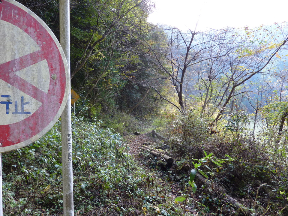 P1010360_mid.jpg