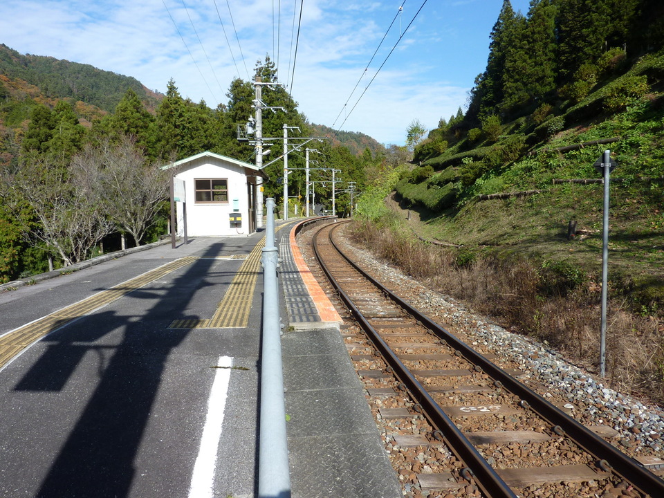 P1010383_mid.jpg