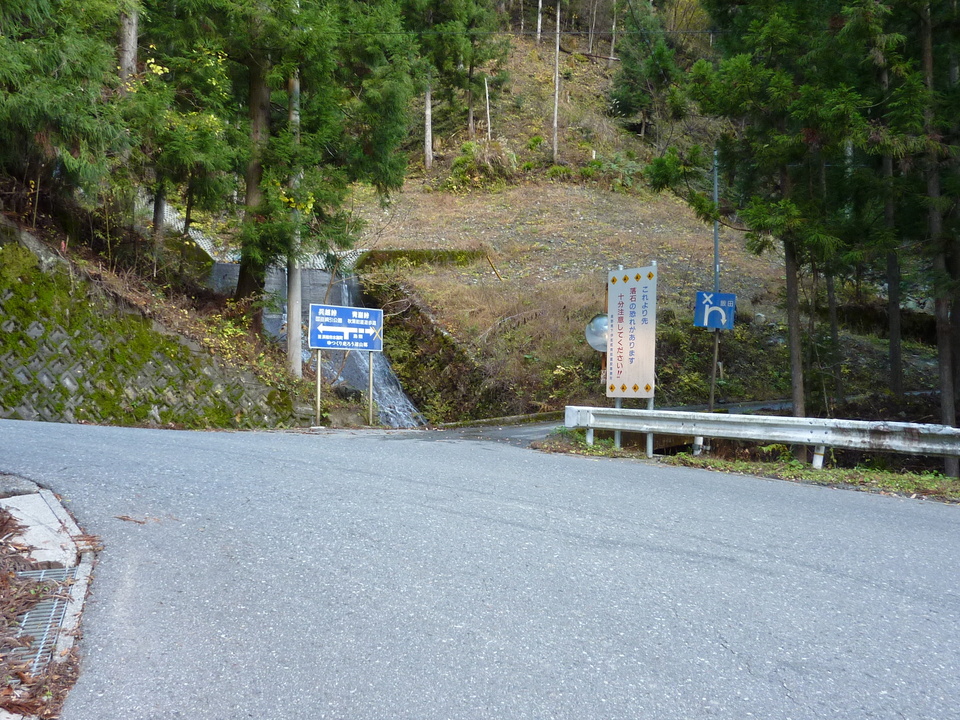 P1010409_mid.jpg
