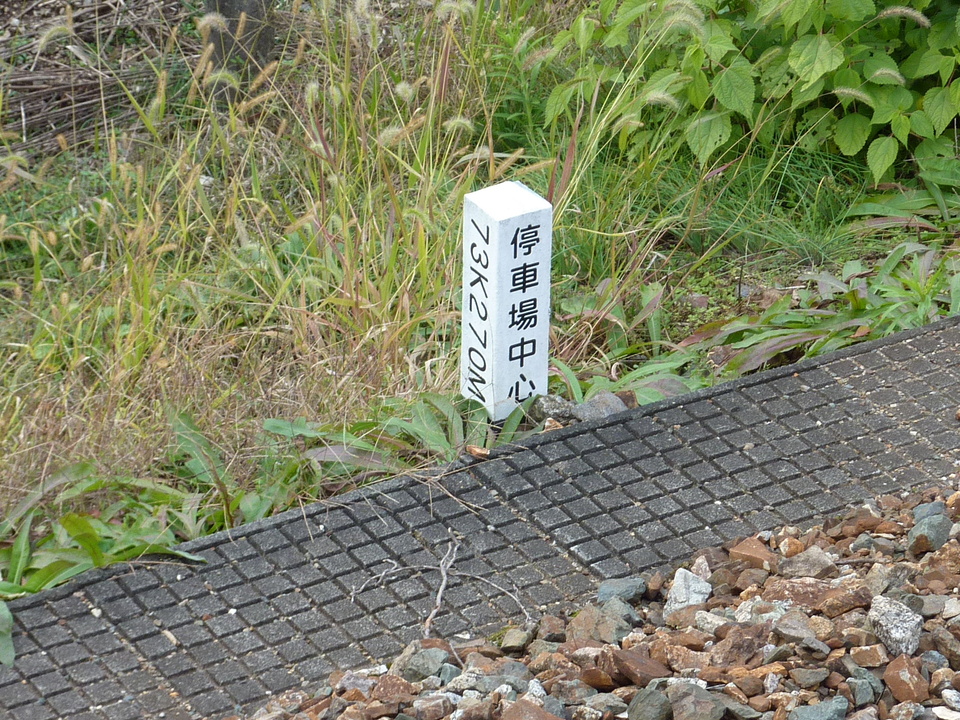 P1010429_mid.jpg