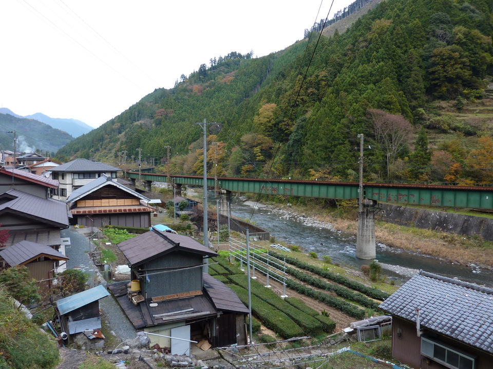 P1010435_mid.jpg