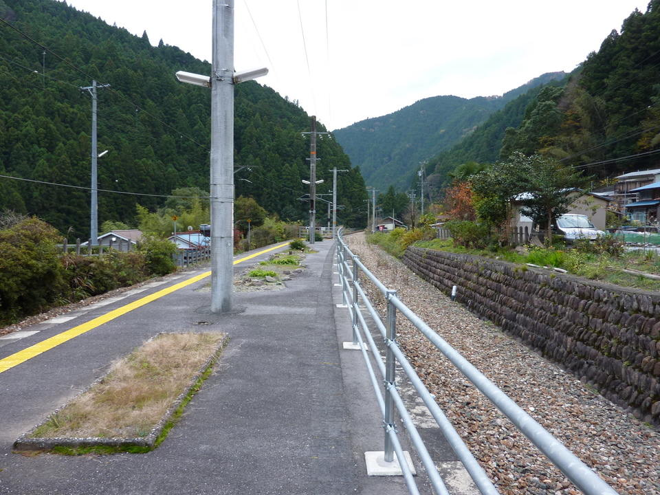 P1010442_mid.jpg