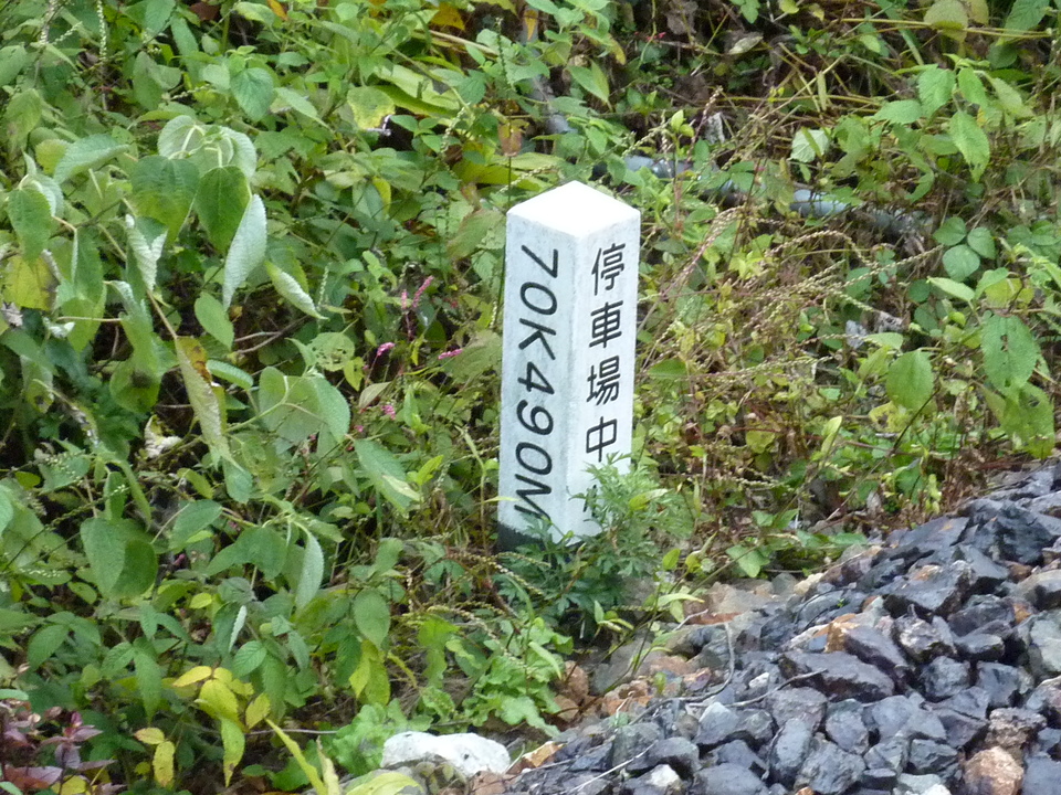 P1010446_mid.jpg
