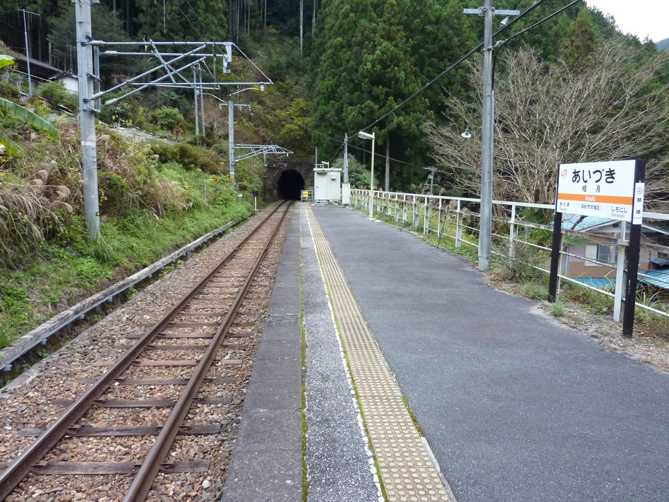 P1010451_mid.jpg