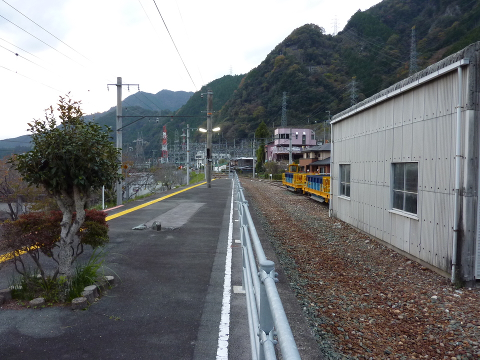 P1010459_mid.jpg
