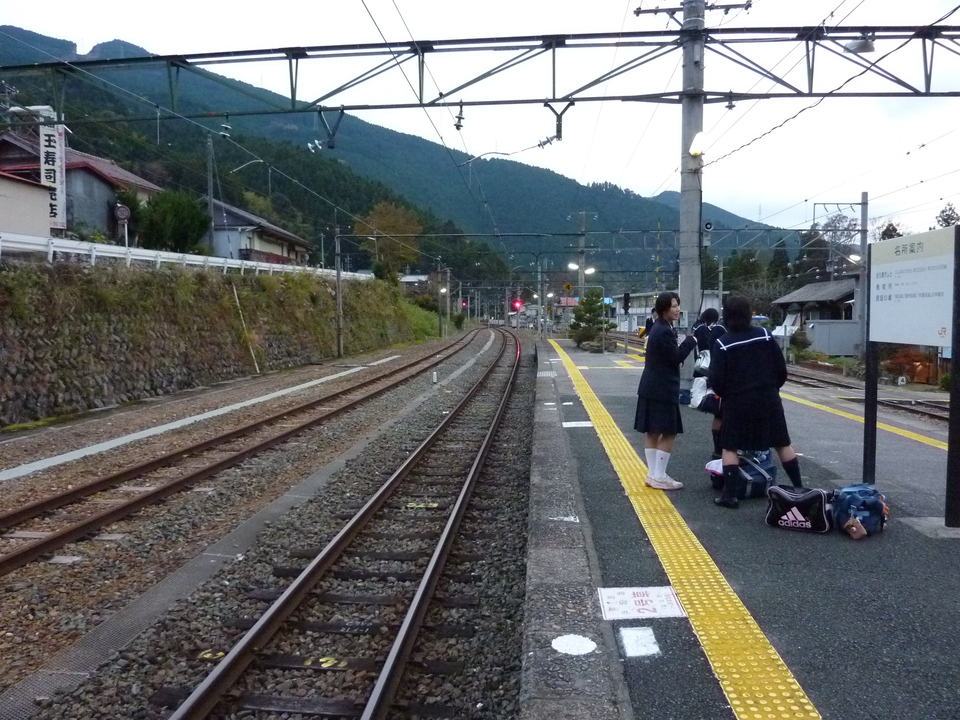 P1010467_mid.jpg