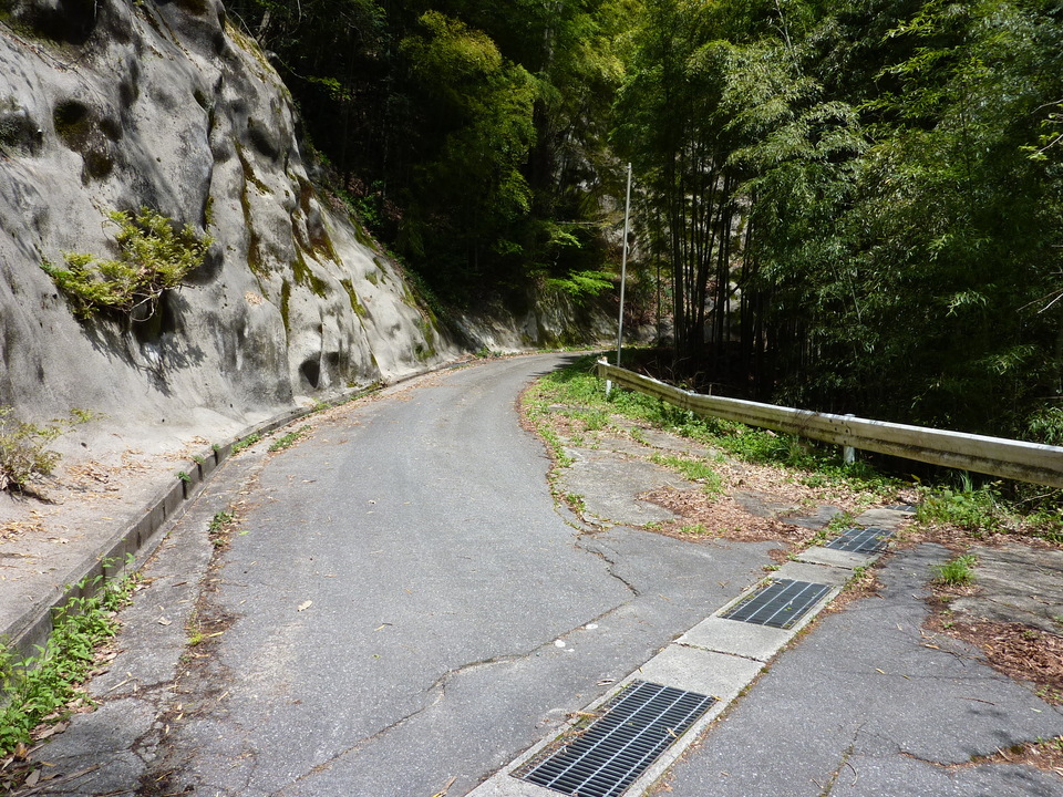 P1020189_mid.jpg