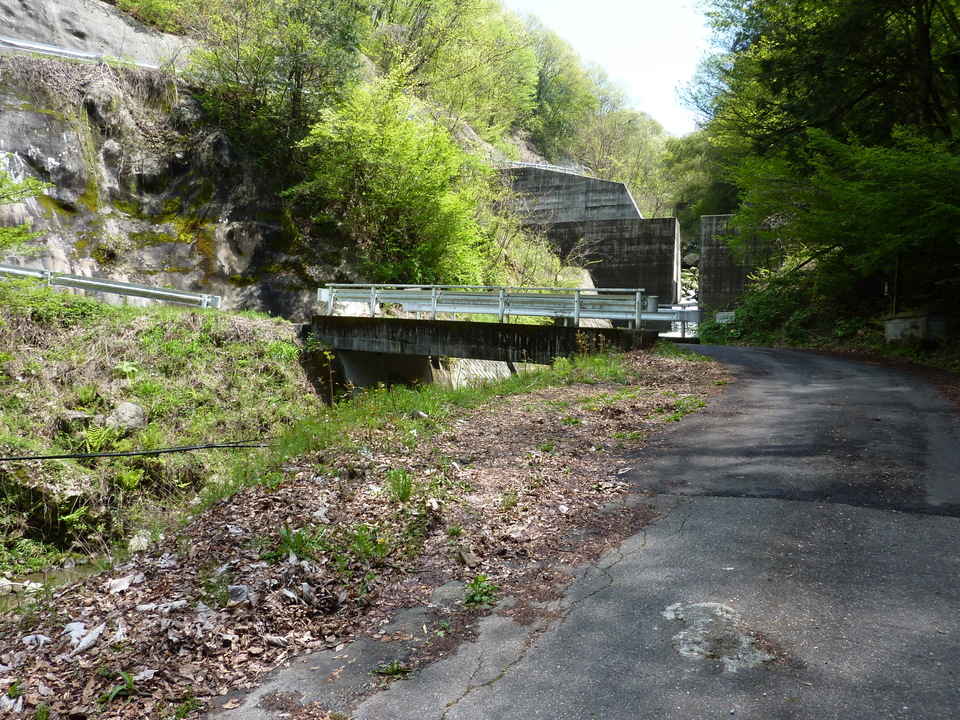 P1020190_mid.jpg