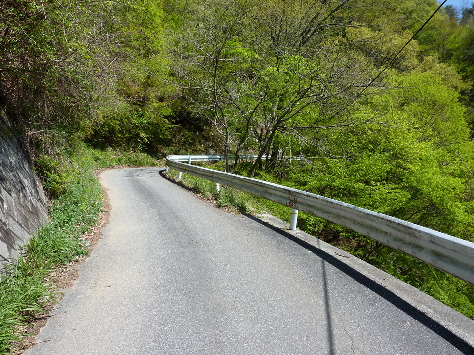 P1020235_mid.jpg