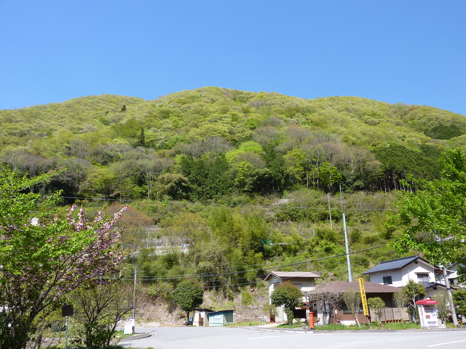 P1020261_mid.jpg