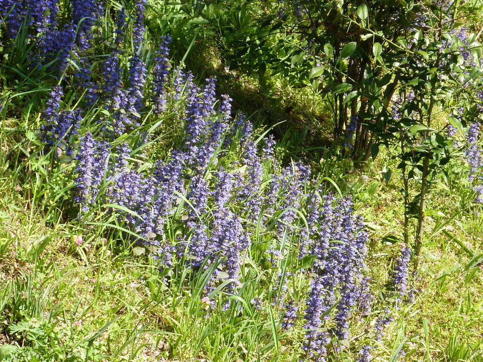 P1020262_mid.jpg
