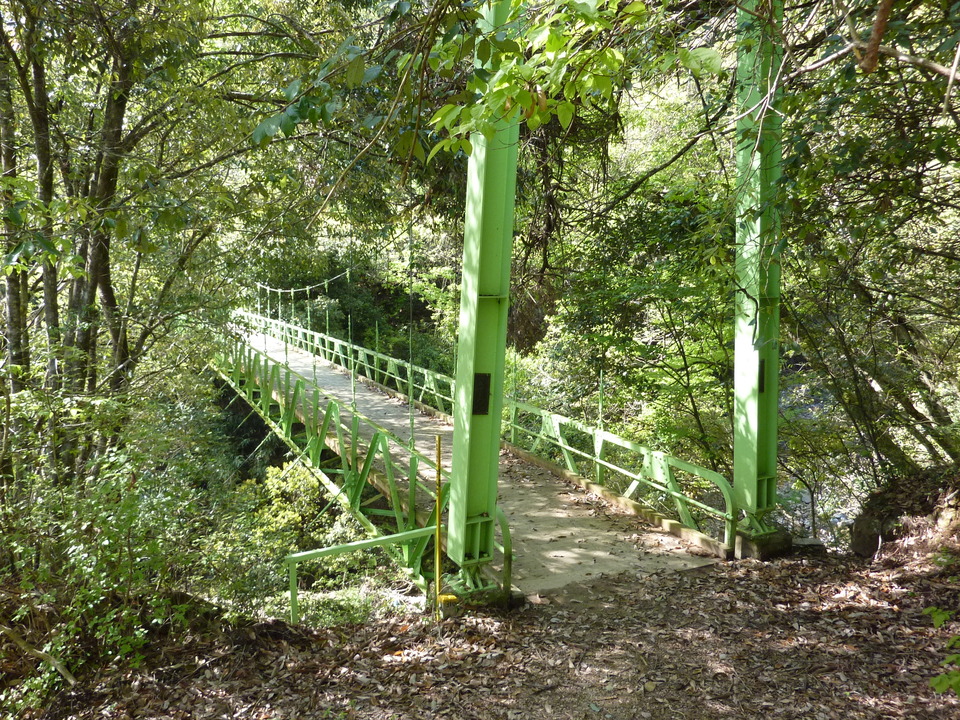P1020284_mid.jpg