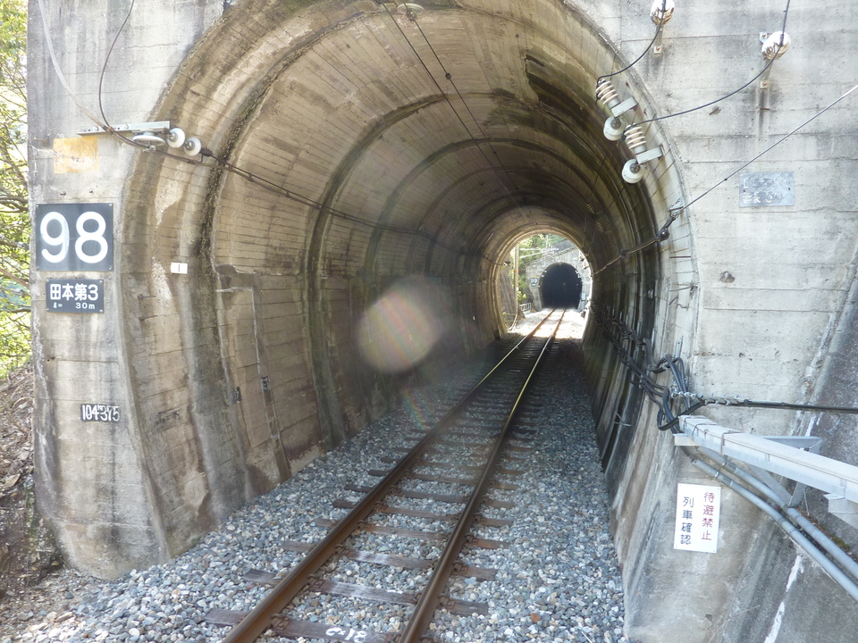 P1020291_mid.jpg