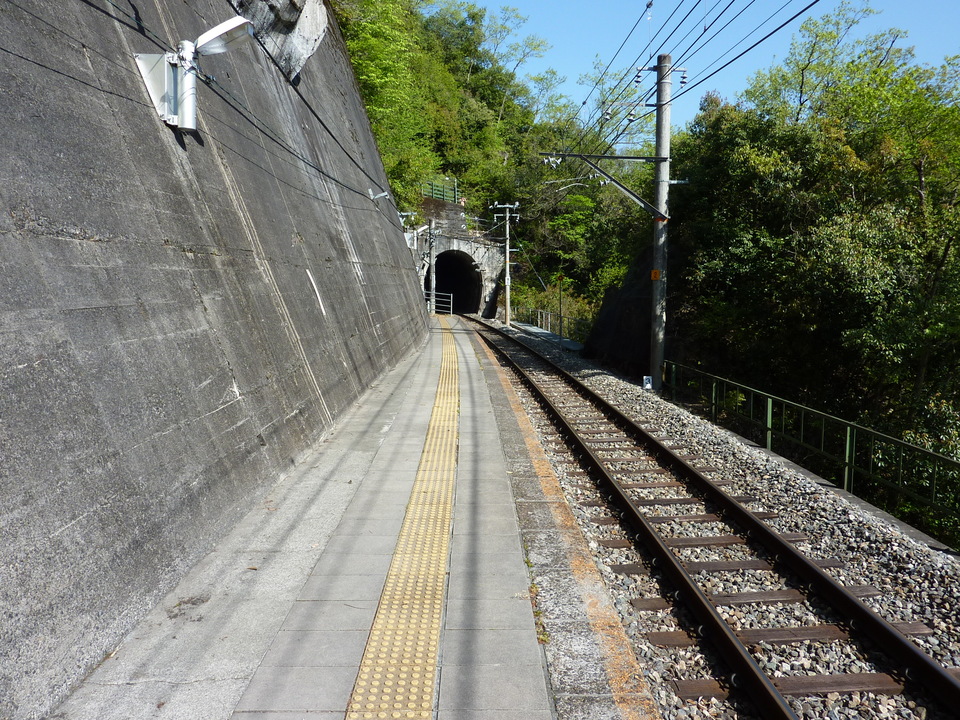 P1020293_mid.jpg