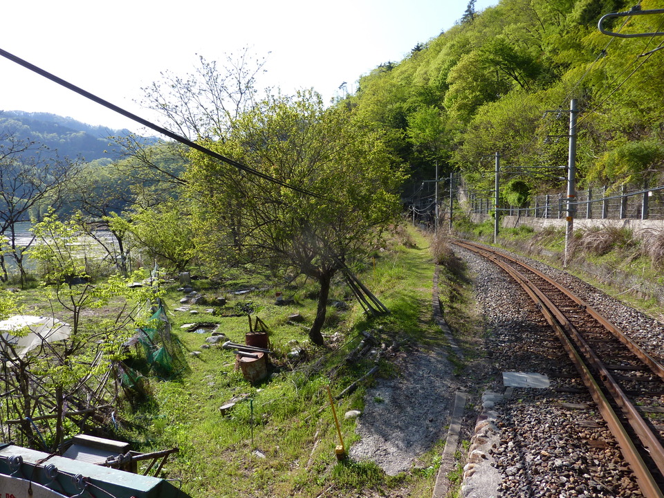 P1020318_mid.jpg
