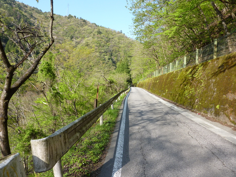P1020333_mid.jpg