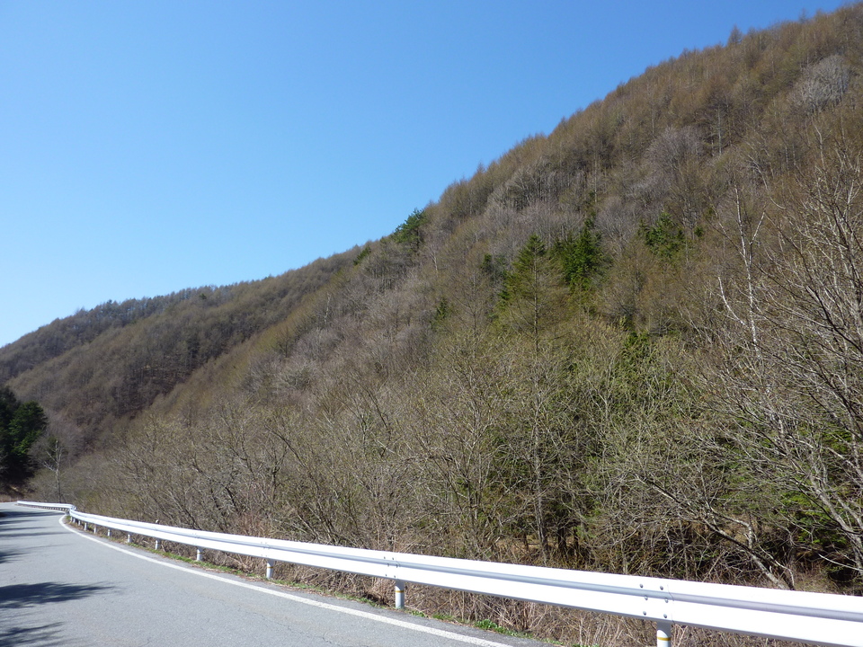 P1020389_mid.jpg