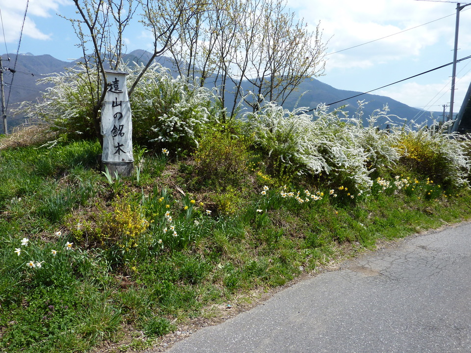 P1020497_mid.jpg