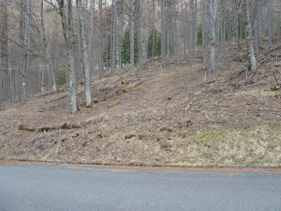 P1090541_mid.jpg